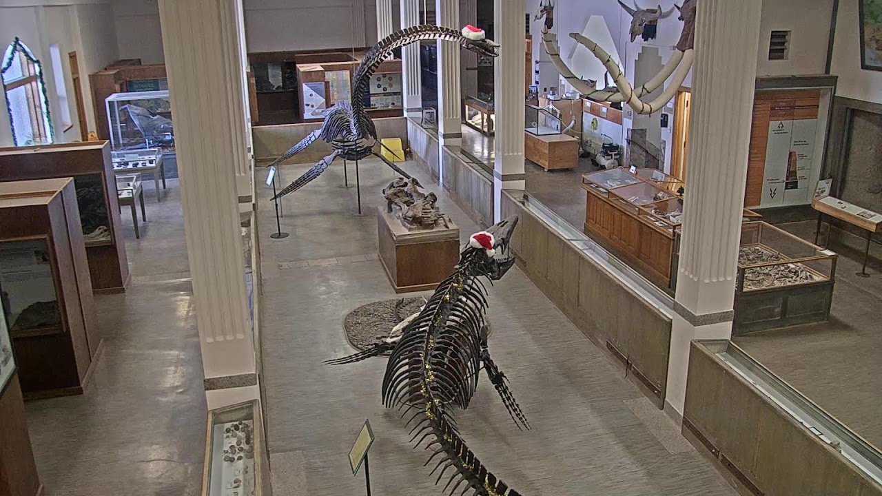 SDSM&T`s Museum of Geology in Rapid City