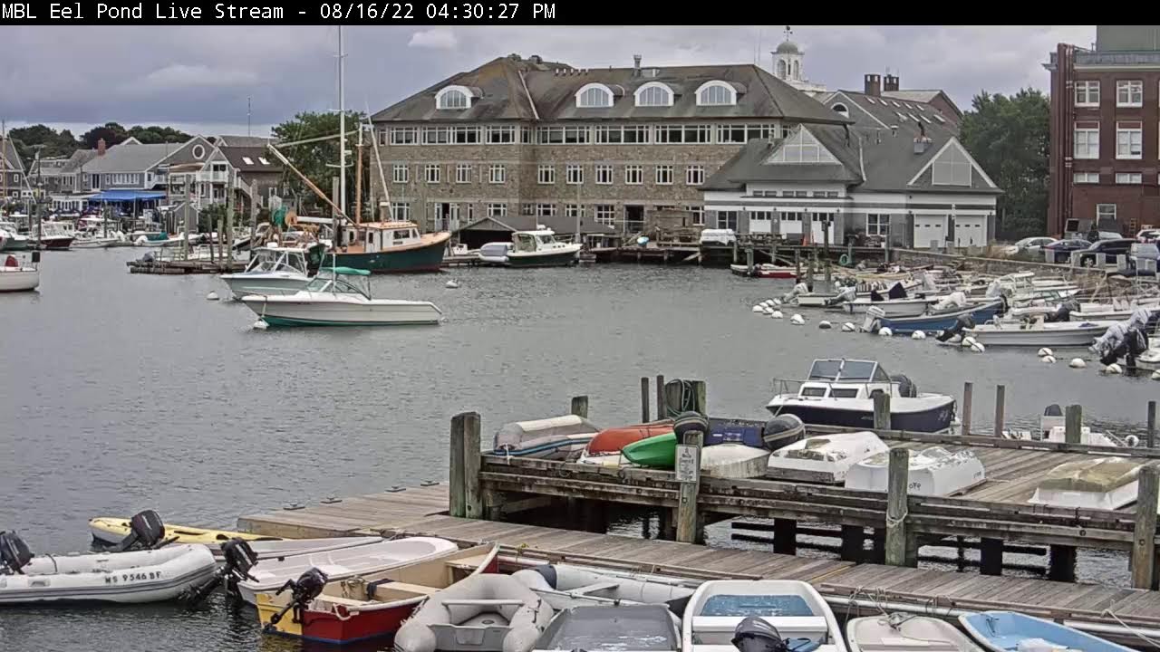 Eel Pond, Marine Biological Lab