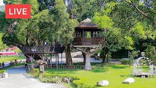 Hutoushan Owl Forest School