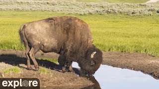 Grasslands National Park