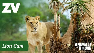 Werribee Open Range Zoo